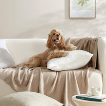 Sunday Citizen Cloud Silque Throw Pillow (more Colors)
