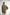 Sunday Citizen Cosset Relaxed Turtleneck (more colors)