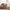 Sunday Citizen Snug Throw Pillow (more colors)