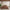 Sunday Citizen Natural Premium Bamboo Sham Set (more Colors)