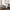 Sunday Citizen Natural Premium Bamboo Sham Set (more Colors)