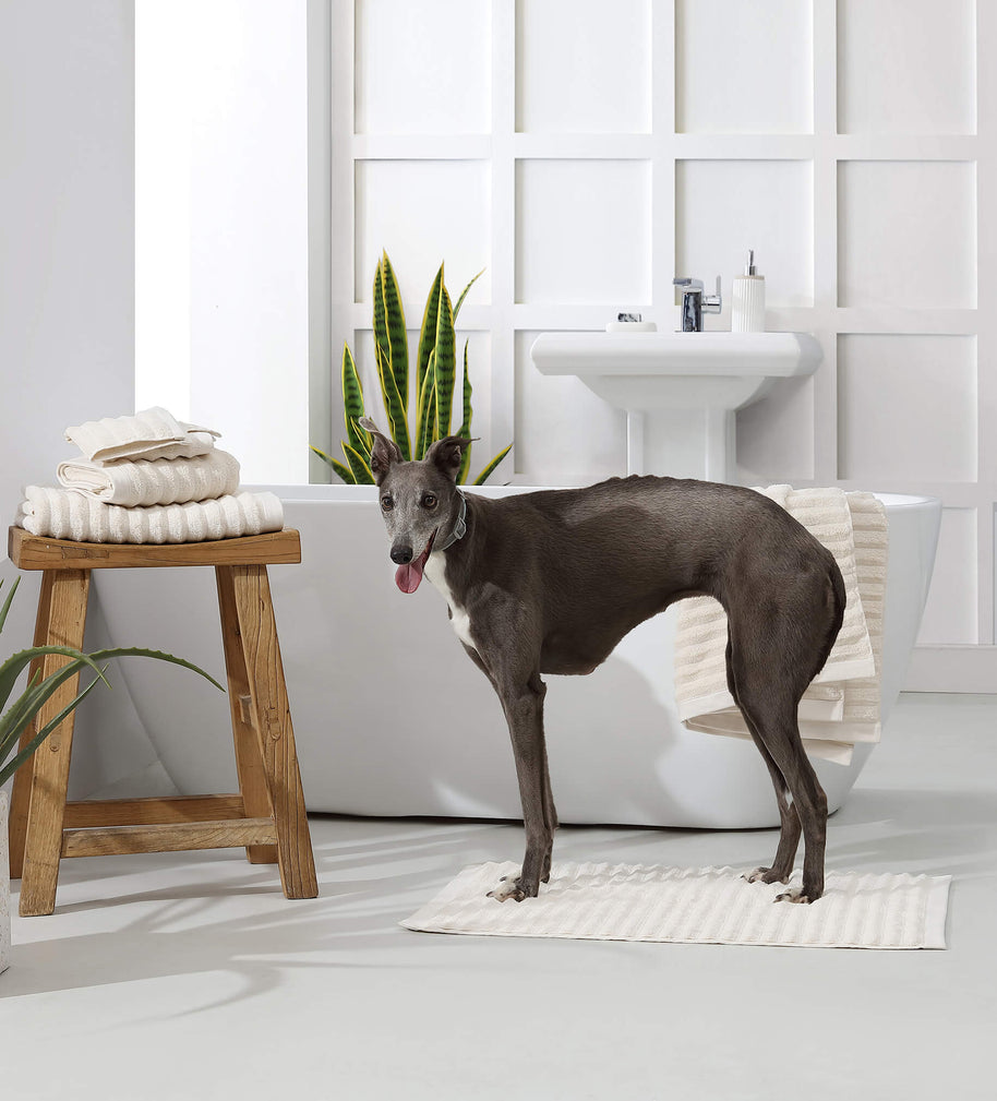 Sunday Citizen Turkish Cotton Rib Towel Set (more Colors)
