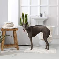 Sunday Citizen Turkish Cotton Rib Towel Set (more Colors)