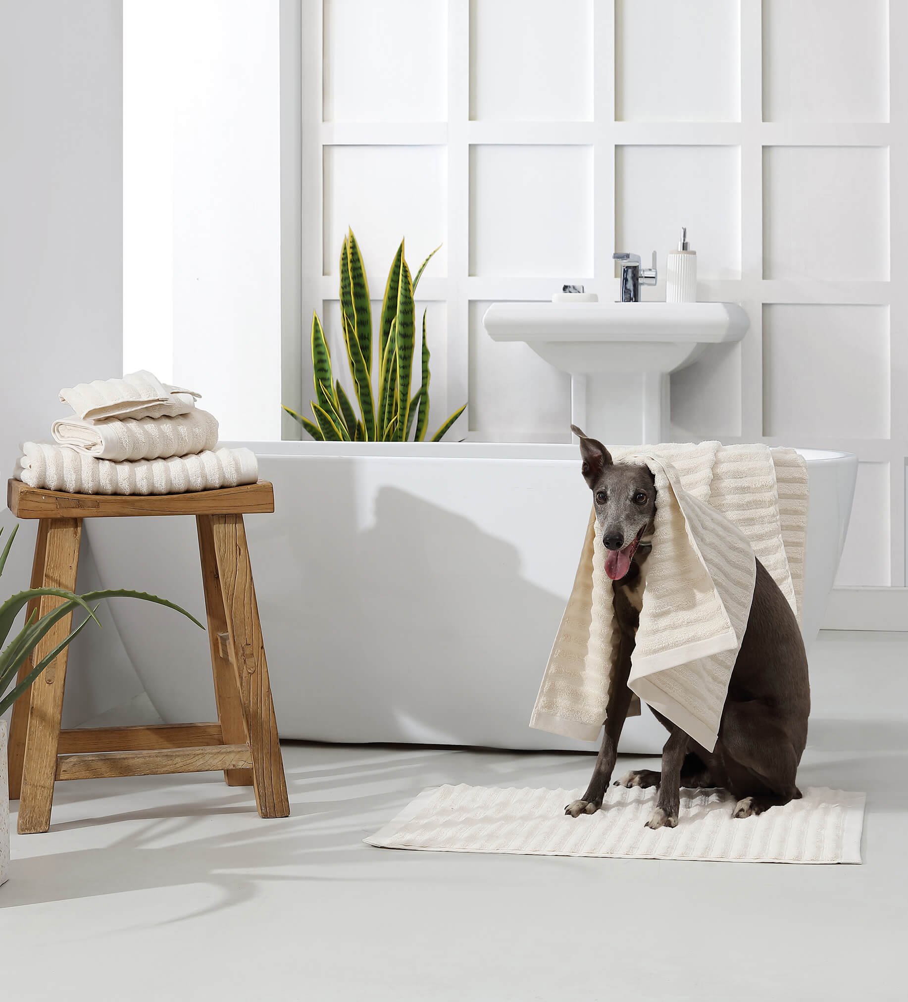 Sunday Citizen Turkish Cotton Rib Bath Mat (more Colors)