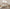 Sunday Citizen Silky Lyocell Stitch Comforter (more Colors)