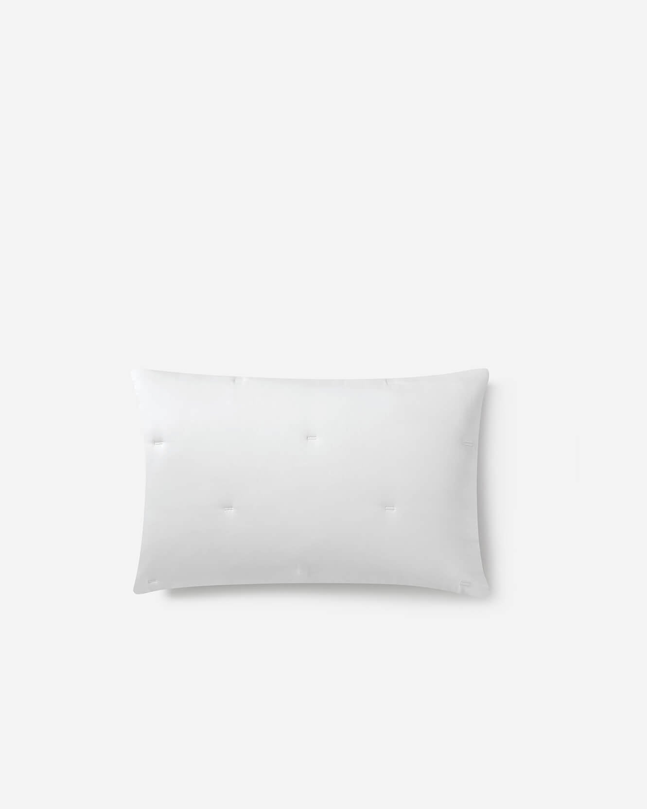 Sunday Citizen Silky Lyocell Stitch Sham Set (more Colors)