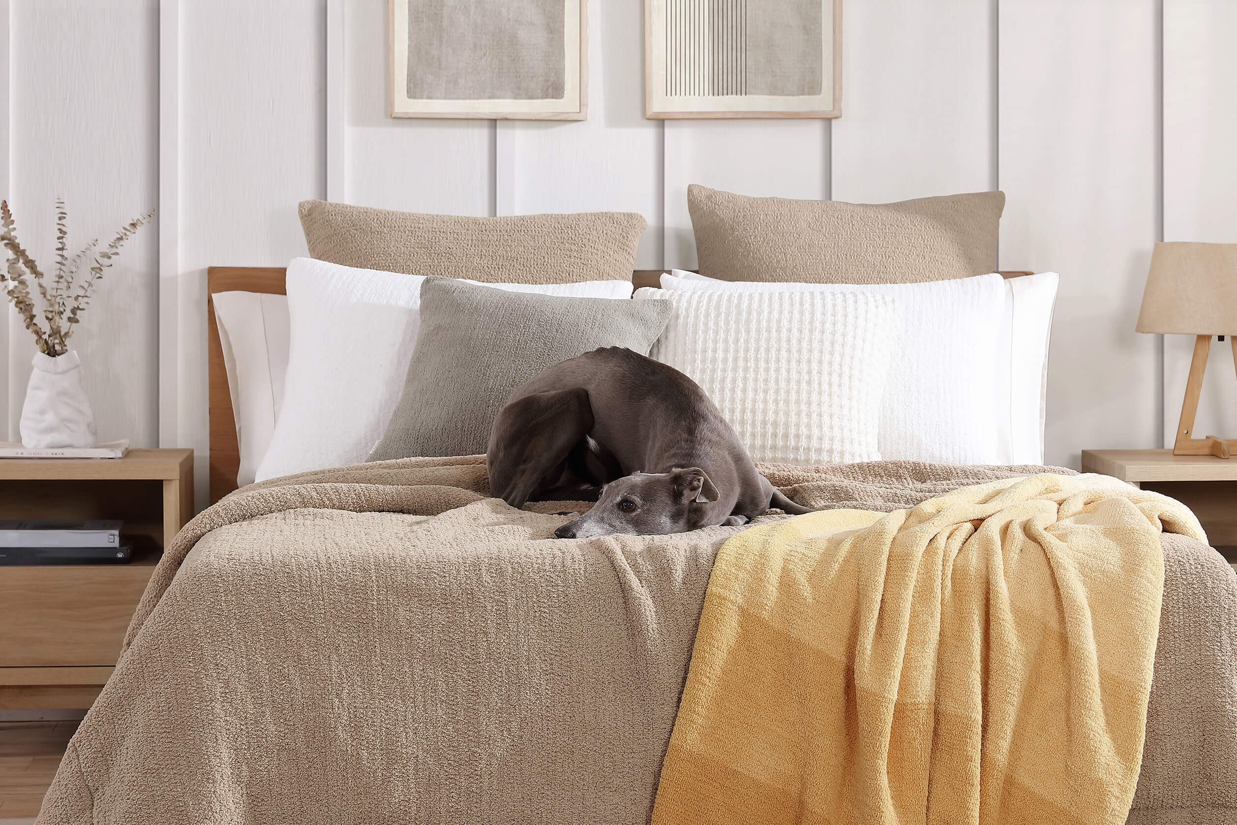 Sunday Citizen Snug Euro Sham (more Colors)