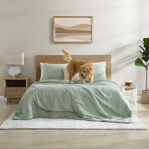 Sunday Citizen Snug + Bamboo Sham Set (more Colors)