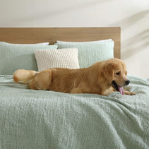 Sunday Citizen Snug + Bamboo Sham Set (more Colors)
