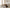 Sunday Citizen Snug Muslin Body Pillow (more Colors)