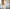 Sunday Citizen Snug Muslin Body Pillow (more Colors)