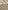 Sunday Citizen Two-Tone Ribbed Bed Blanket (more Colors)