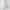 THE ANDAMANE Ivory Wendela Oversized Suit