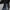 Amberjack The Tux (Obsidian) (Classic Collection)