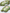 Ulivary Floral Olive Kimono Robe