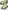 Ulivary Floral Olive Kimono Robe