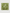 Ulivary Floral Olive Kimono Robe