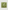 Ulivary Floral Olive Kimono Robe