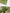 Ulivary Floral Olive Kimono Robe