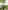 Ulivary Floral Olive Kimono Robe