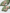 Ulivary Short Kimono Robe Olive