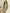 Ulivary Elegant Pink Green Oriental Pajama Set With Asymmetrical Collar