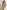 Ulivary Elegant Pink Green Oriental Pajama Set With Asymmetrical Collar