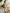 Ulivary Bridal Robe And Dress Pajama Set