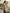 Ulivary Bridal Robe And Dress Pajama Set