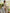 Ulivary Bridal Robe And Dress Pajama Set
