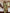 Ulivary Floral Olive Kimono Robe
