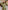 Ulivary Floral Olive Kimono Robe