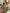 Ulivary Floral Olive Kimono Robe