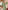 Ulivary Green Charmeuse Floral Asian Inspired Sleep Mask