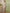 Ulivary Beige Chinoiserie Floral Long Kimono Robe with Pockets