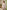 Ulivary Beige Chinoiserie Floral Long Kimono Robe with Pockets