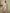 Ulivary Beige Chinoiserie Floral Long Kimono Robe with Pockets