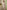 Ulivary Beige Chinoiserie Floral Long Kimono Robe with Pockets