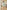 Ulivary Tropical Palm Leaf Short Robe with Pockets