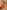 Ulivary Luxuriously Orange Embellished Flower Short Robe With Pockets