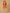 Ulivary Luxuriously Orange Embellished Flower Short Robe With Pockets