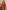 Ulivary Luxuriously Orange Embellished Flower Short Robe With Pockets