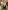 Ulivary Short Kimono Robe Olive