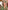 Ulivary Green Charmeuse Floral Asian Inspired Sleep Mask