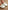 Ulivary Ink Floral Print Slippers (more colors)