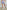 Astoria LUXE BALANCE Crossover Short - Blue Lattice