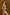 JACKIE GREEN SHINE Brazilian Bikini Bottoms