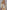 ad0086e7-36e3-4ace-bfe7-6d38119706fd-Max-Origin