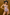 ANJELIKA CHEETAH X ZEBRA One Piece Brazilian Swimsuit
