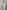 b82805df-c232-441d-b5b9-6b8c2f2ab661-Max-Origin